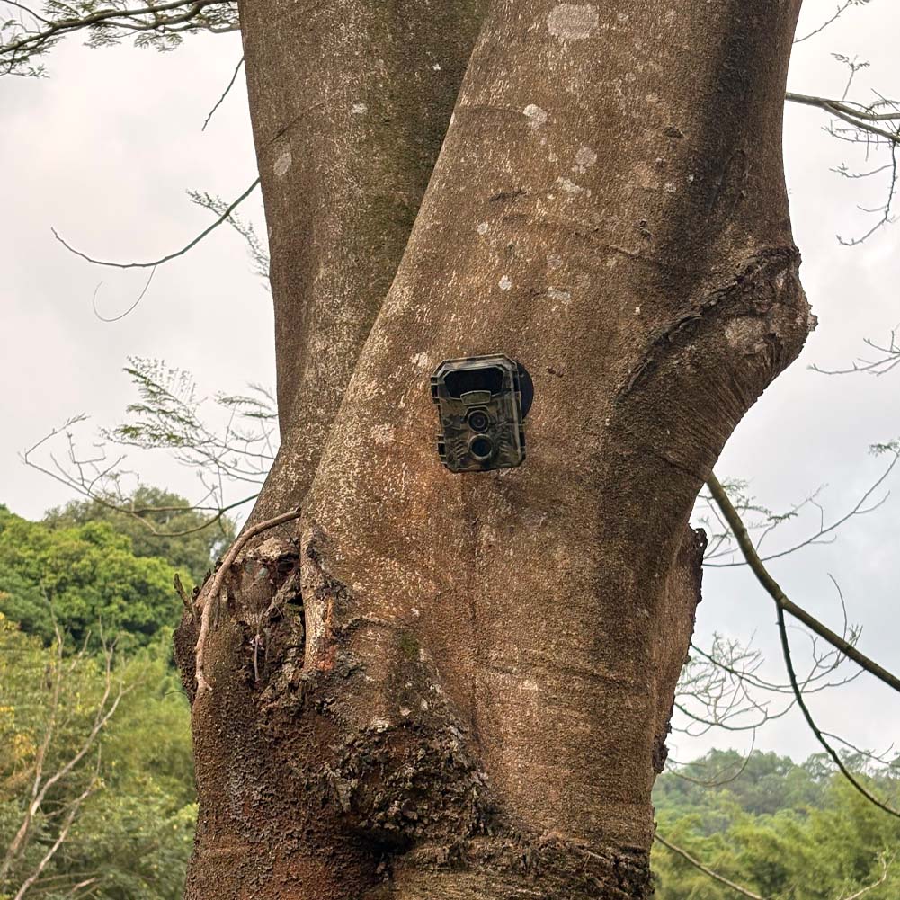 Hunting Trail Camera 16MP 1080 - Hunting Outdoor Camera 评论和价格