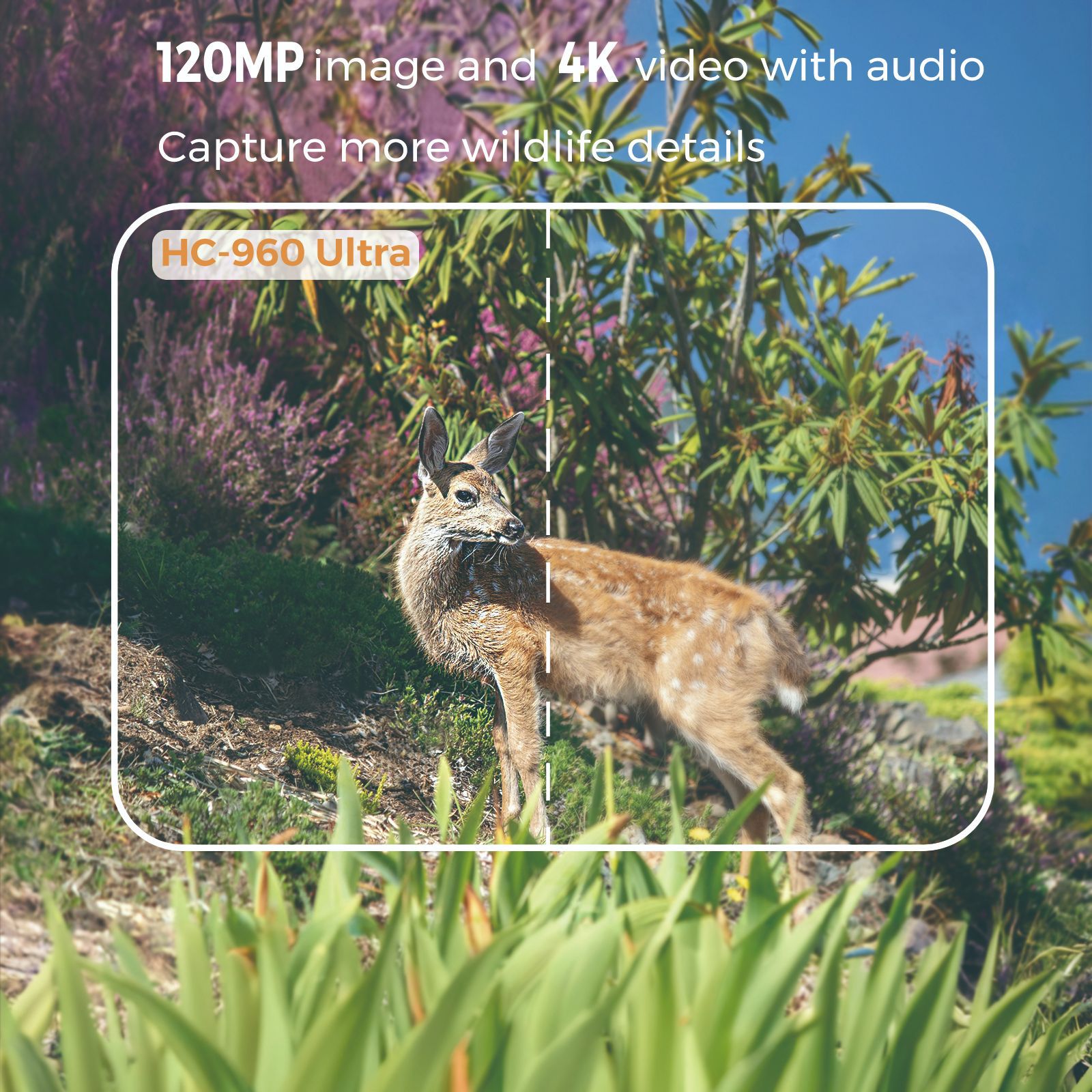 Outdoor 4K Video 120MP Photo 4 - Hunting Outdoor Camera 评论和价格