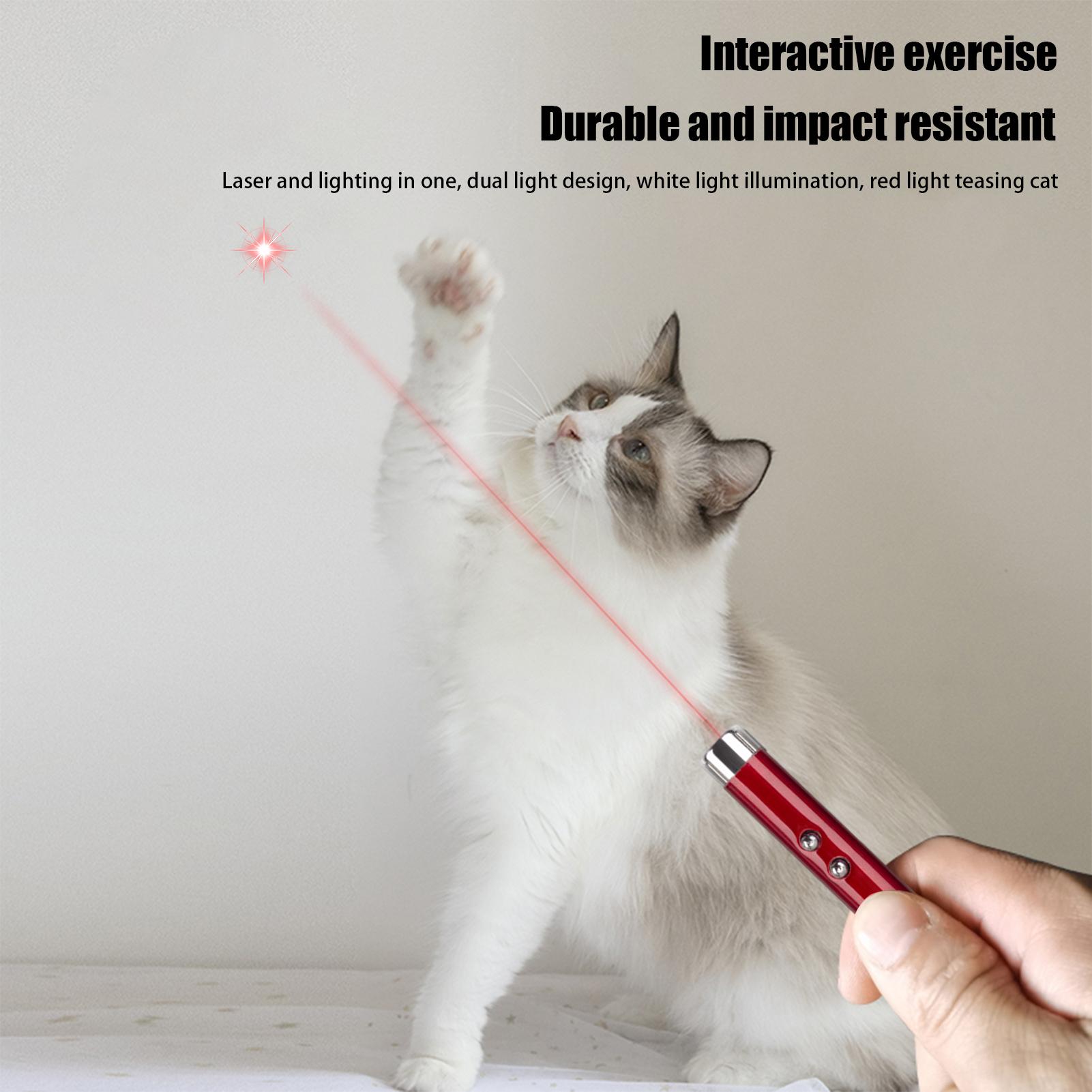 Hunting Cat Toys Pet Cat Teasi - Trail Camera Infrared 评论和价格