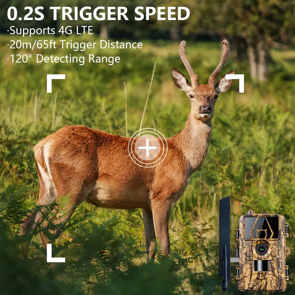 Pr801 4G Network Observation H - Outdoor Hunting House 评论和价格