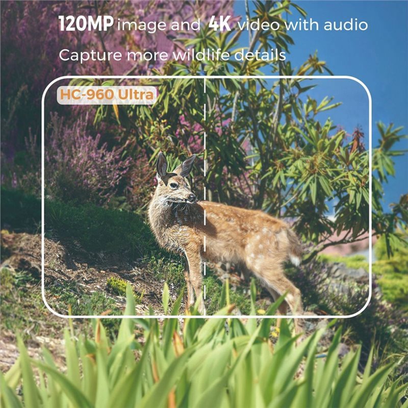 A99E-Outdoor 4G 120MP 4K Live  - Hunting And Outdoor Shows 评论和价格
