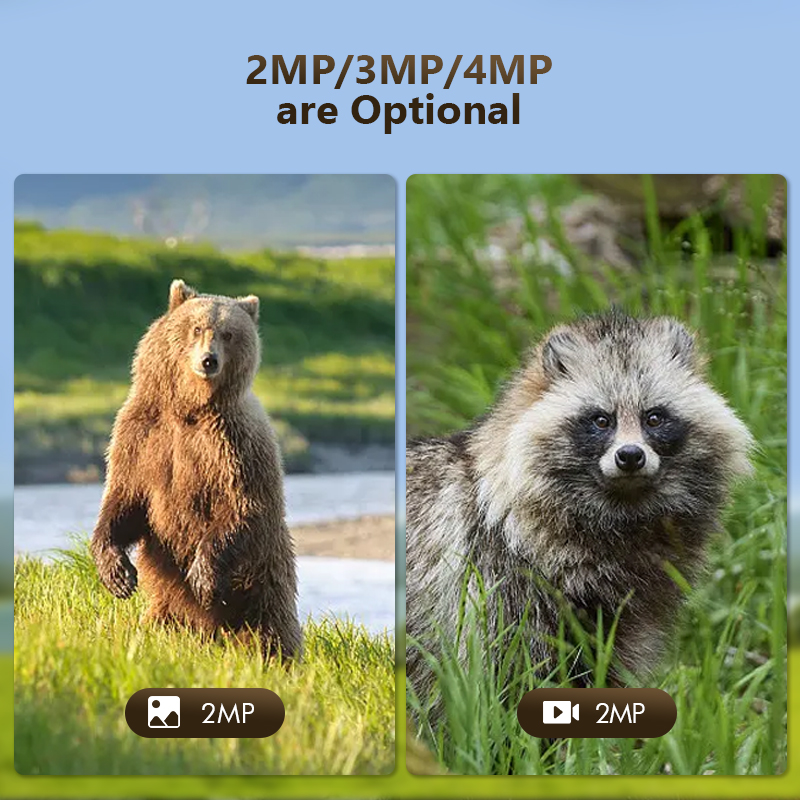 4G 4MP Outdoor Wildlife Huntin - Outdoor Hunting Camera Wifi 评论和价格