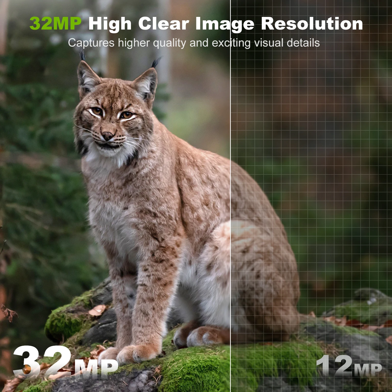 Solar Camera Outdoor Wireless  - Outdoor Hunting Camera Wifi 评论和价格