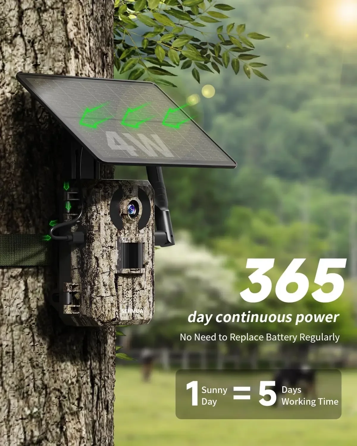 3rd Gen 4G LTE Cellular Trail  - Trail Camera Infrared 评论和价格